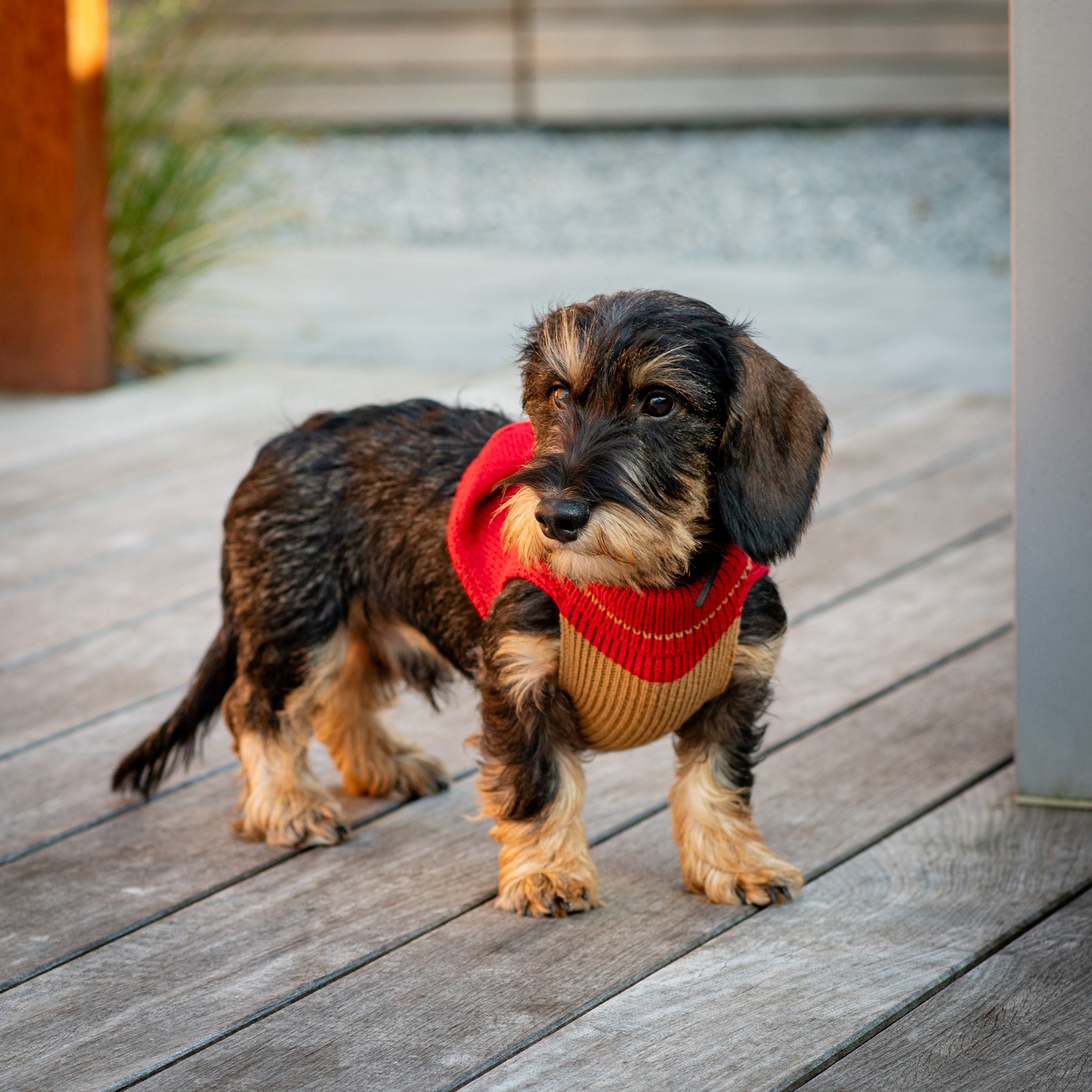 480695401_652852570595997_632165708428474964_n