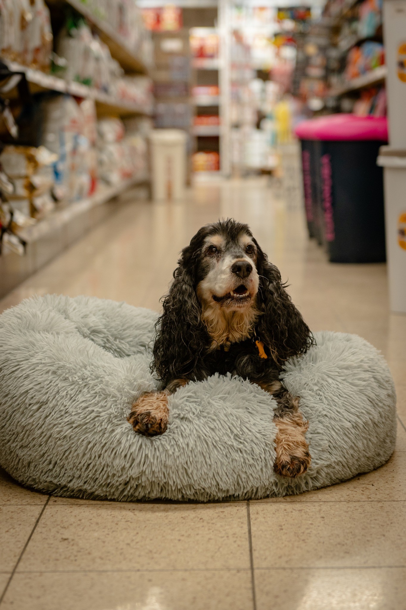 481302181_656426383571949_5026840146043036047_n