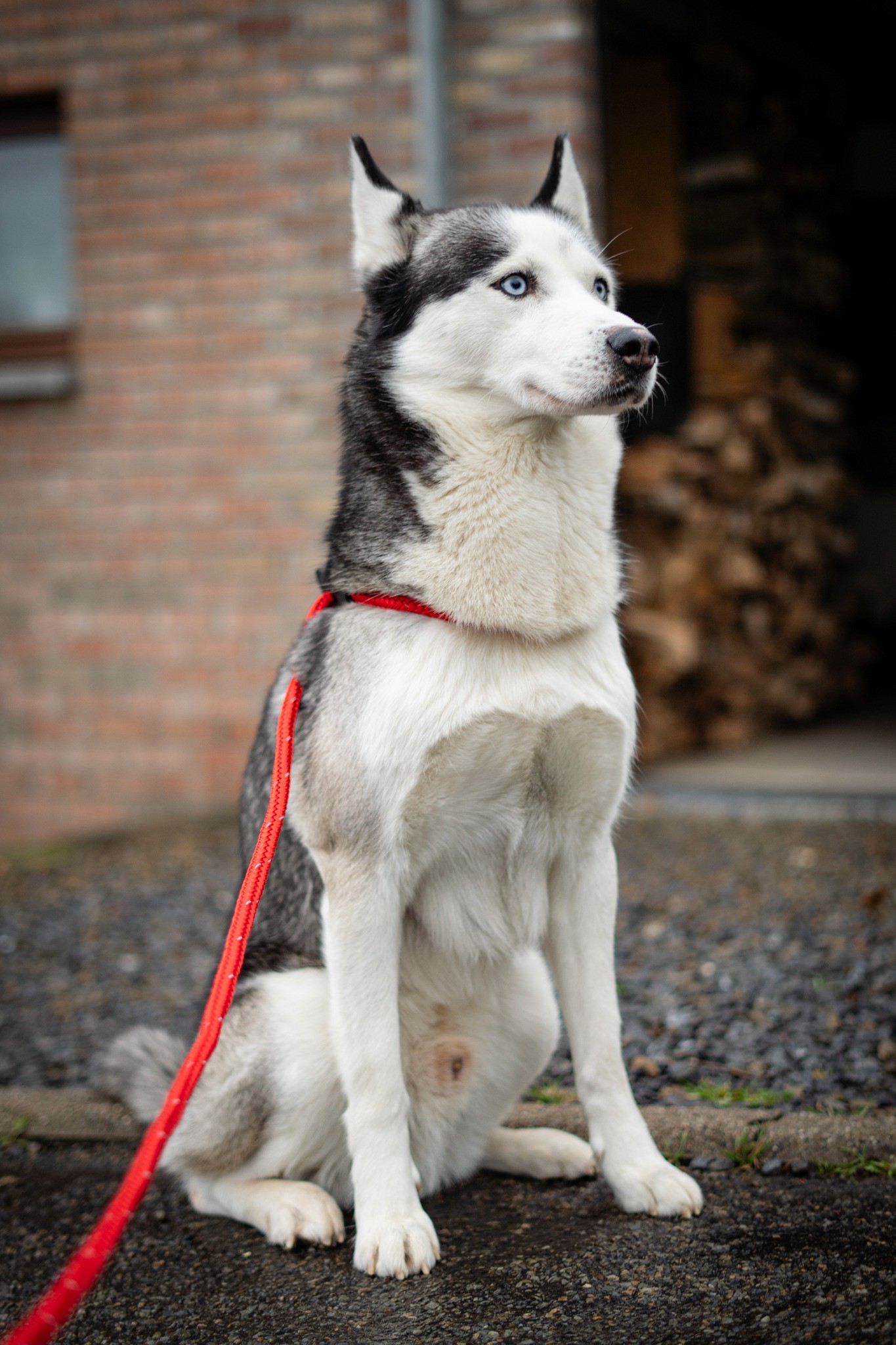 481081028_655374550343799_7397688600495403732_n