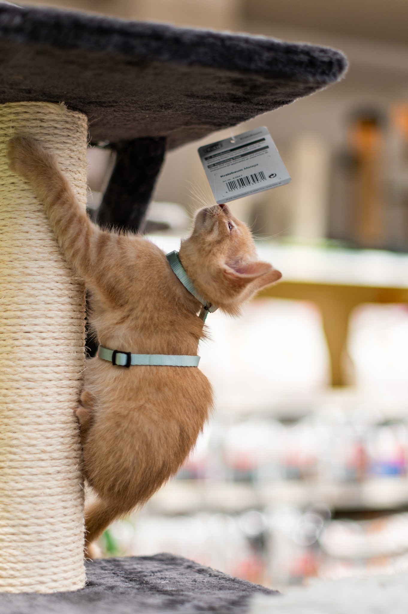 477097074_640487075165880_614535418164302987_n