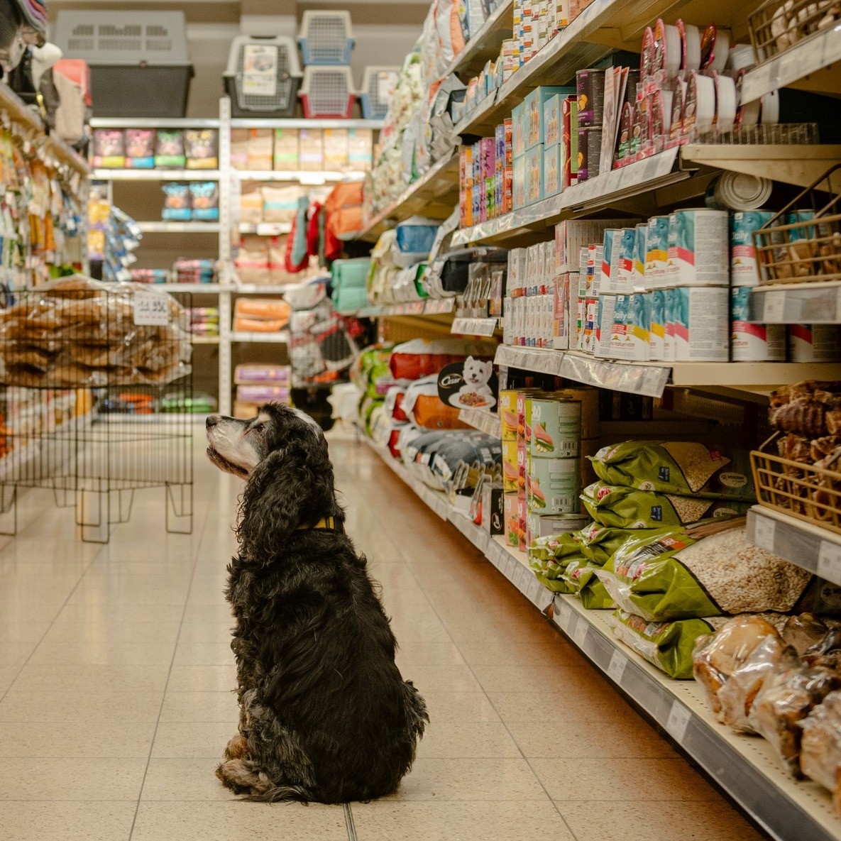 417396851_392594329955157_5948093965518146956_n