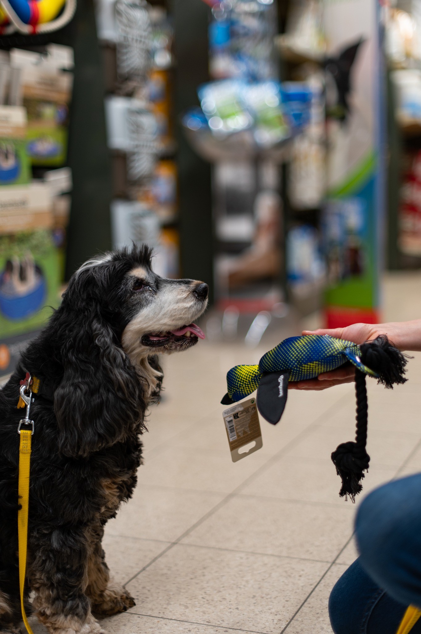 476630872_640481228499798_813524507755812923_n