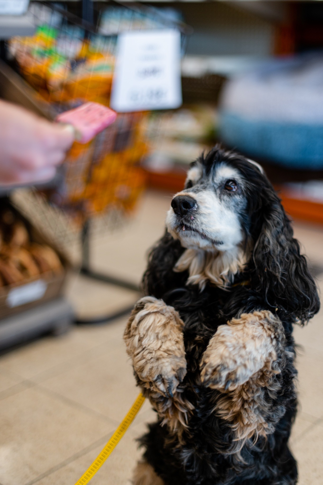 476993519_640480705166517_8656882165655787798_n