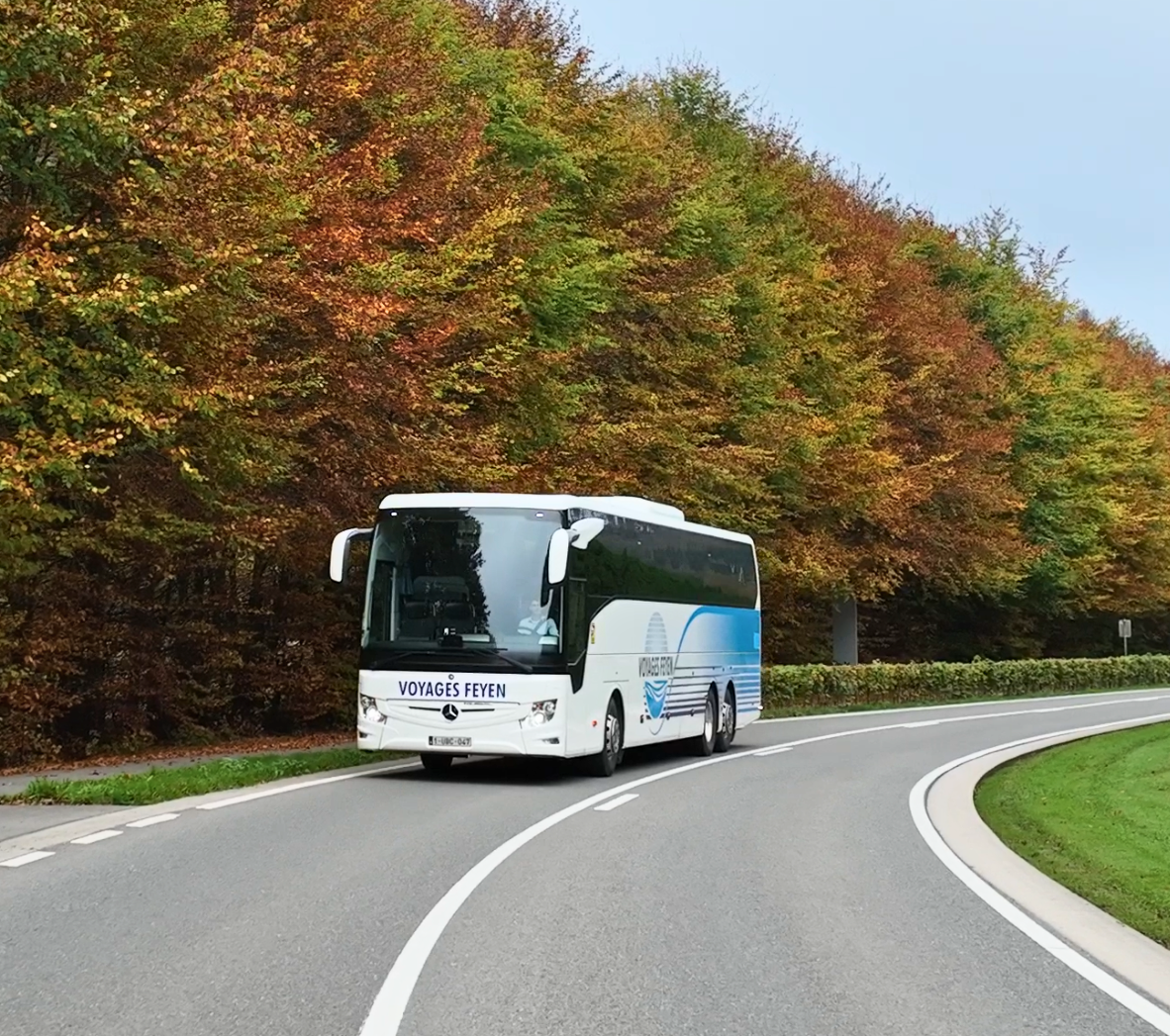 29e309e6-7364-437f-99ec-2e3901b178ff