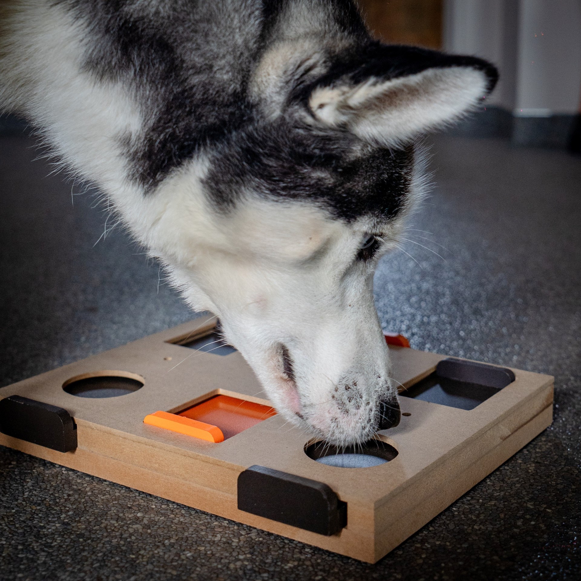 480556120_647895974424990_1908125774999914233_n