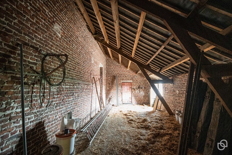 Marketing immobilier