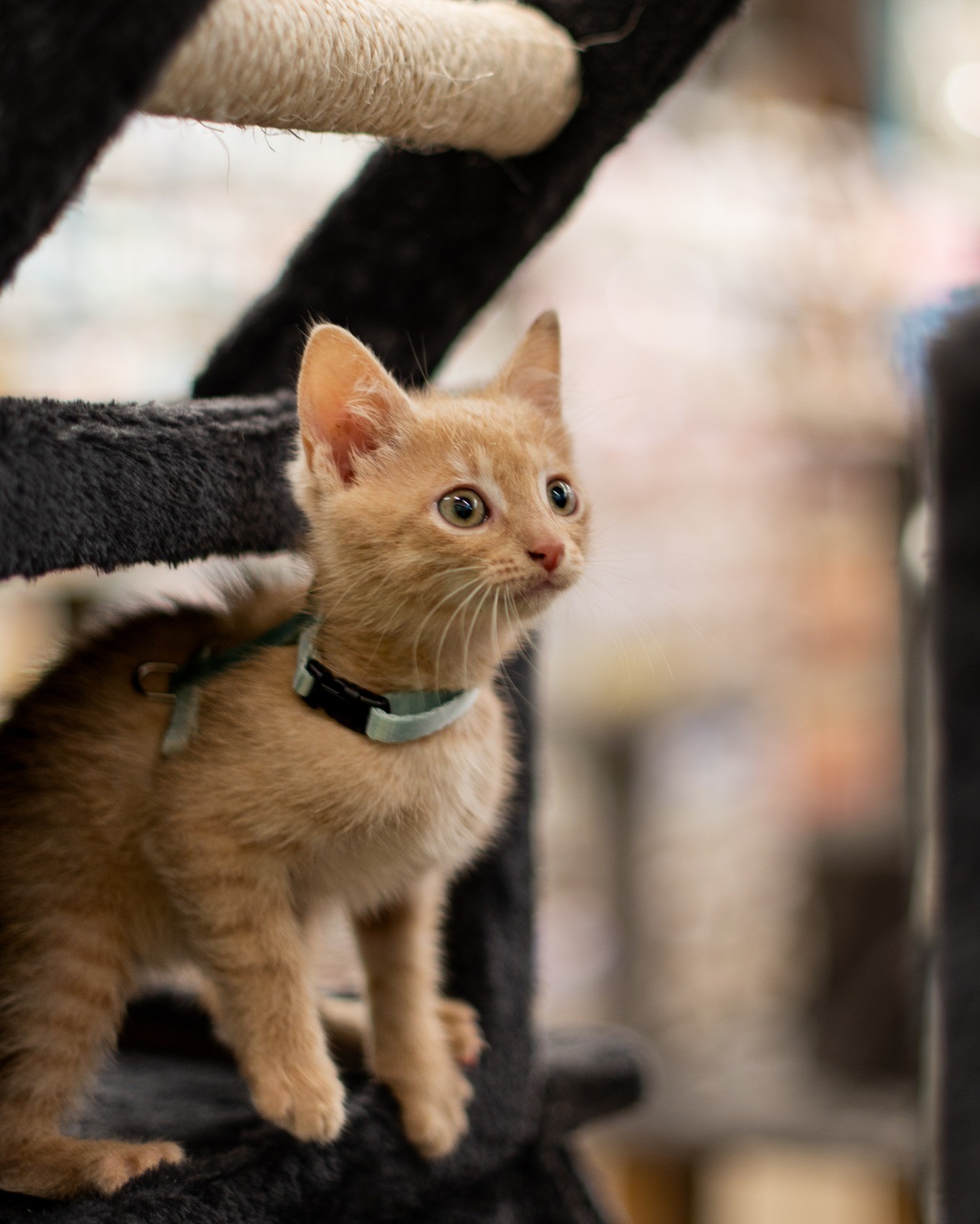 480295262_647225607825360_8821683834797666384_n