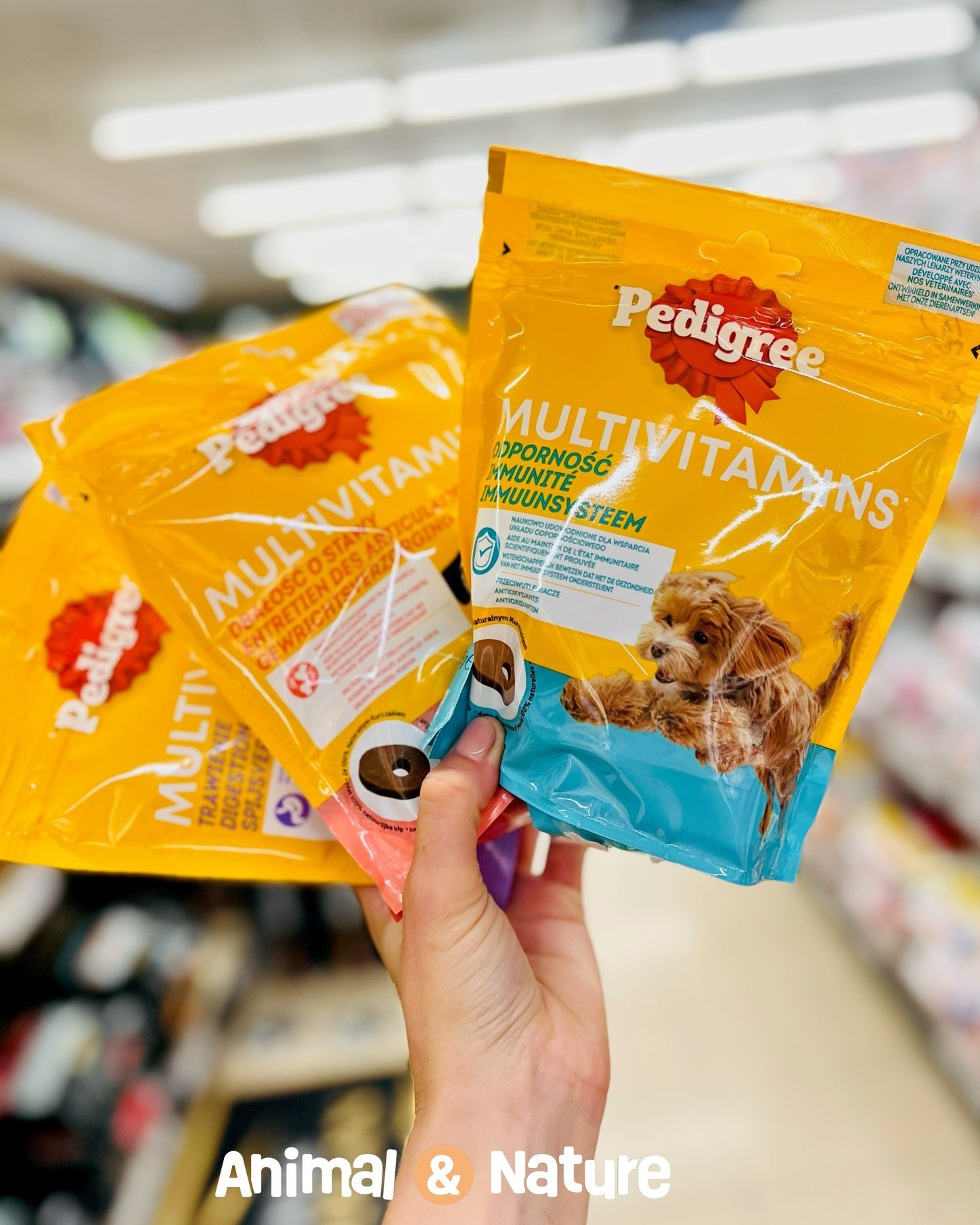 480869969_648136021067652_1015364854340192492_n