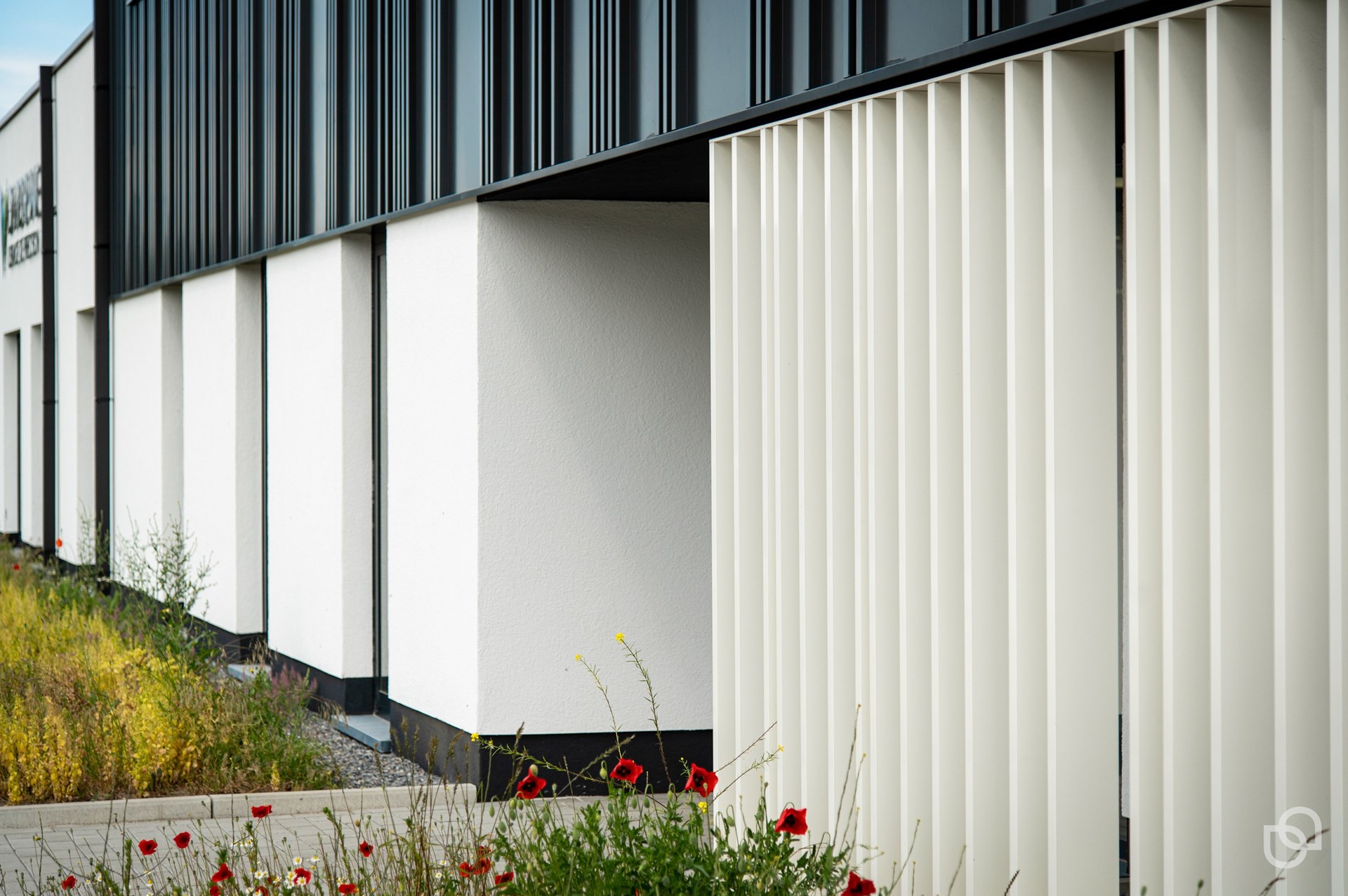 DSC_1456 photo reportage entreprises  Lignes bureau d'architecture