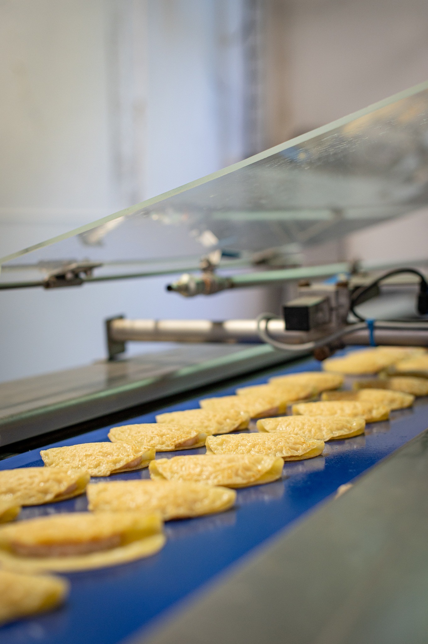 444190366_961797625649091_3023190681866378868_n