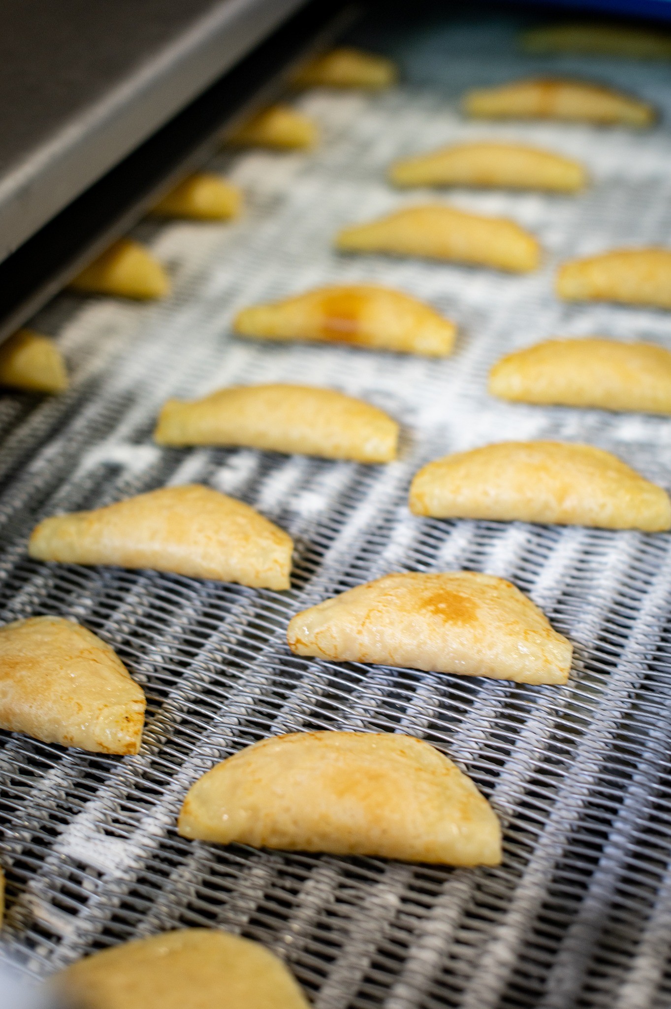 464720676_1065567658605420_8378311865825206244_n