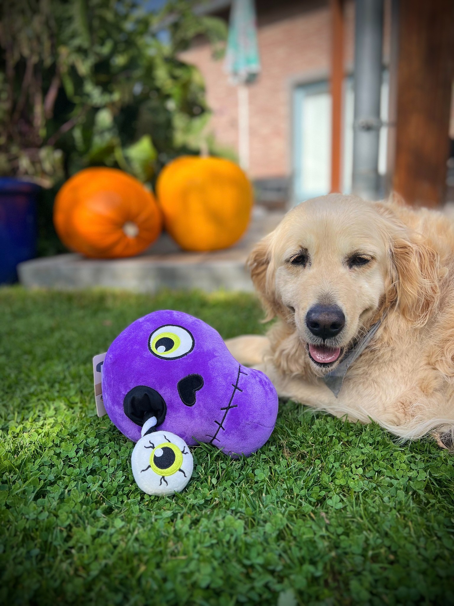 480782197_651467544067833_3199959077423068777_n