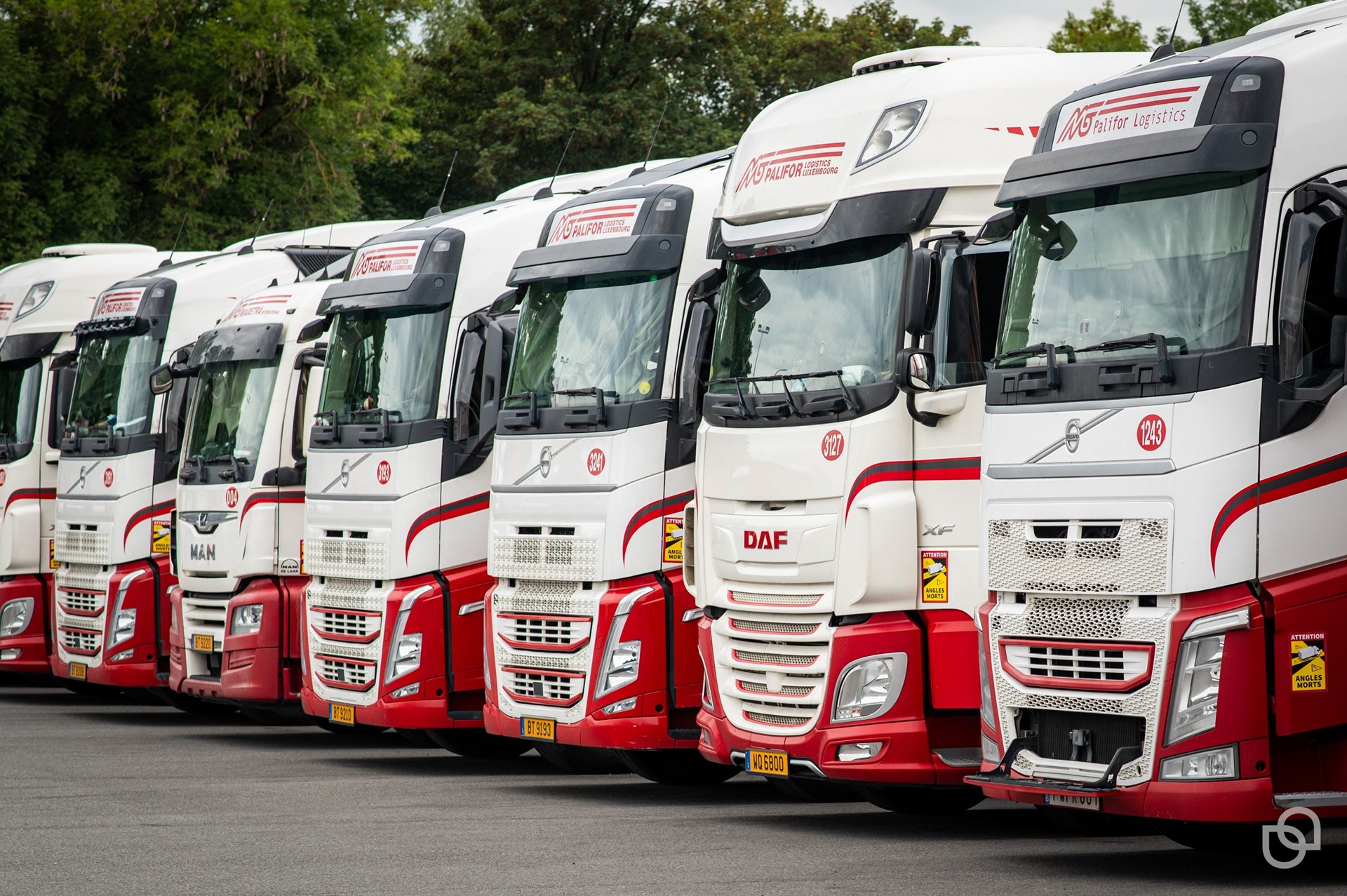 Magetra Family Day 2023-259